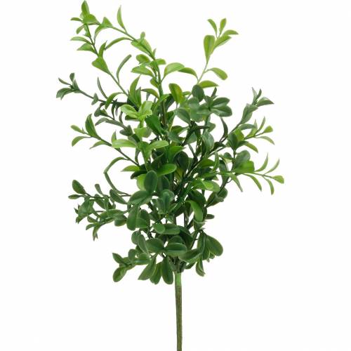 Floristik24 Rami di bosso su pick pianta verde artificiale 6 pz