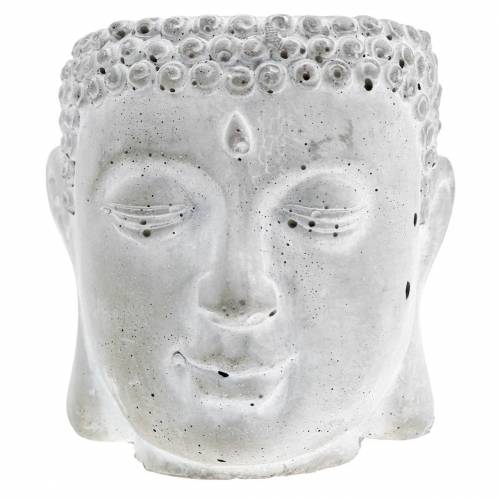 Floristik24 Testa di Buddha per piantare cemento grigio, lavato bianco Ø8 H8cm