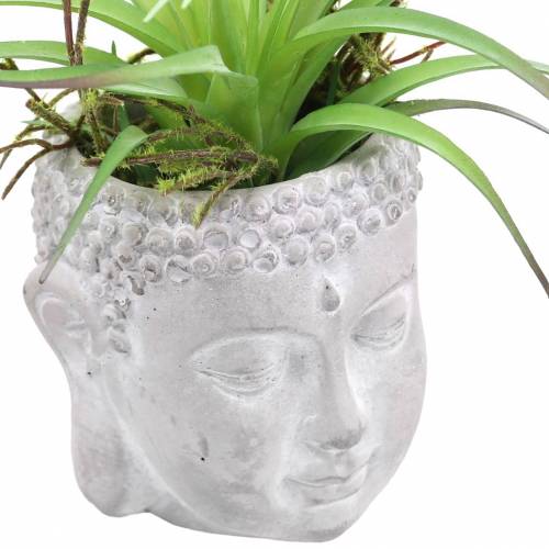Floristik24 Testa di Buddha per piantare cemento grigio, lavato bianco Ø8 H8cm