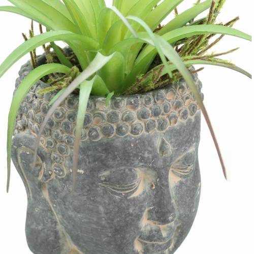 Floristik24 Testa di Buddha per piantare cemento aspetto antico nero Ø8 H8cm