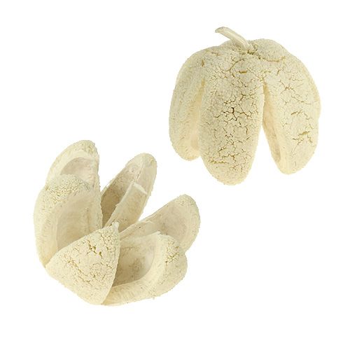 Prodotto Fiore decorativo sbiancato 12 pezzi