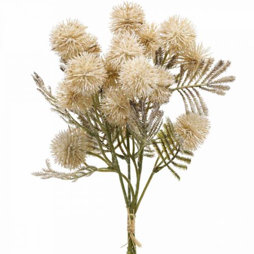 Floristik24 Cardo Artificiale Crema Drylook Globe Cardo 33cm 3pz