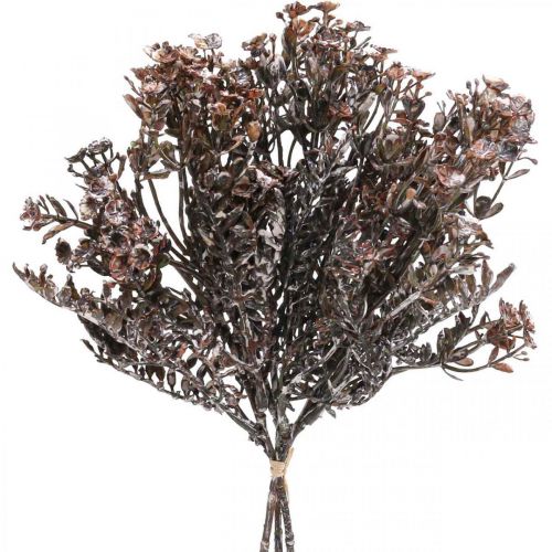 Floristik24 Piante artificiali marrone decorazione autunnale decorazione invernale Drylook 38 cm 3 pz