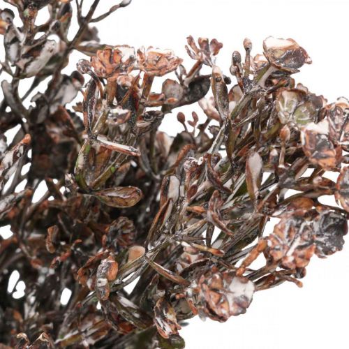 Prodotto Piante artificiali marrone decorazione autunnale decorazione invernale Drylook 38 cm 3 pz
