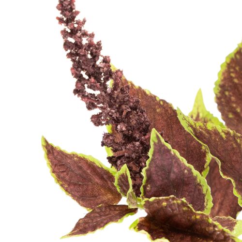 Coleus artificiale con foglie rosse, pianta artificiale, 20 cm | Floristik24.it