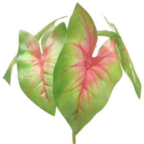 Prodotto Pianta artificiale caladium a sei foglie verde/rosa artificiale come vera!