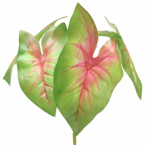 Floristik24 Pianta artificiale caladium a sei foglie verde/rosa artificiale come vera!