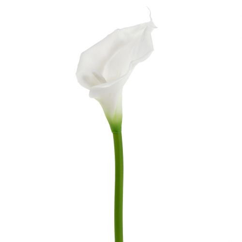 Floristik24 Calla artificiale bianca 67cm