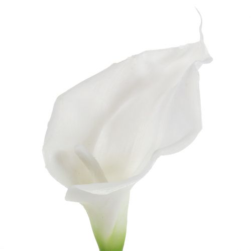 Floristik24 Calla artificiale bianca 67cm