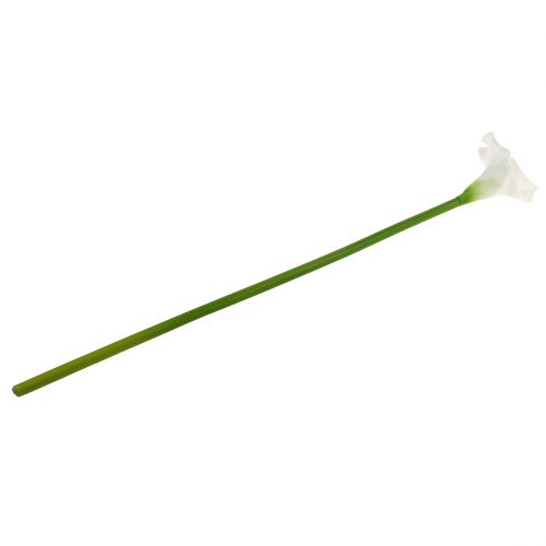 Floristik24 Calla artificiale bianca 67cm
