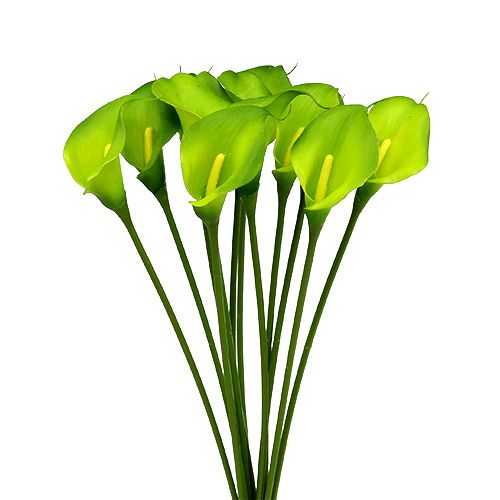 Floristik24 Calla artificiale verde 8cm L57cm 12pz