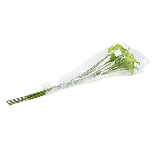 Floristik24 Calla artificiale verde 8 cm L57 cm 12 pezzi