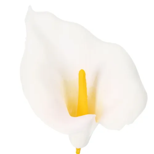 Calla artificiale con stami gialli, fiori decorativi, 35 cm, 10 pezzi | Floristik24.it