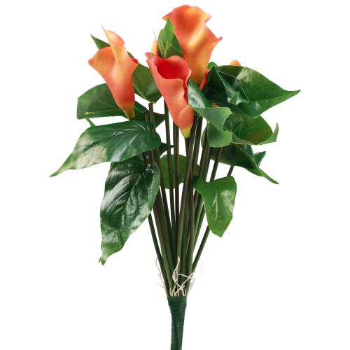 Floristik24 Calla Giglio Albicocca Calla Fiori Artificiali Arancione Esotico 44 cm