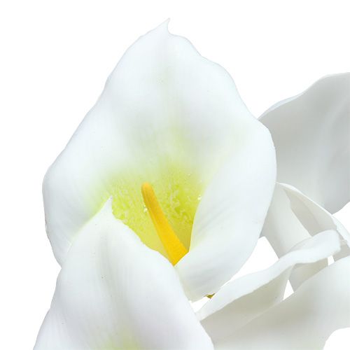 Prodotto Calla su filo piccola bianca 50 pz