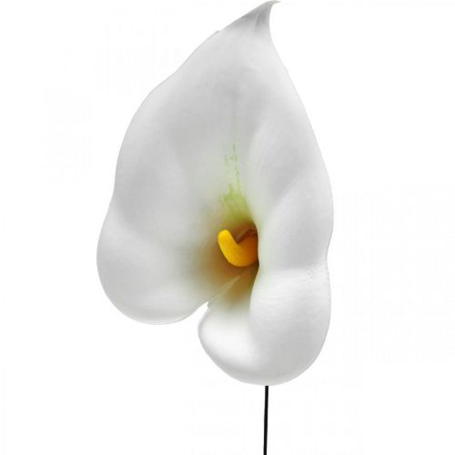 Prodotto Calla media su filo 50 pz