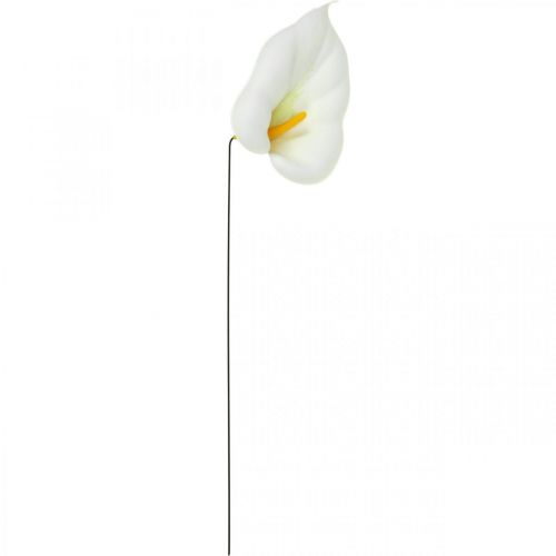 Prodotto Calla media su filo 50 pz