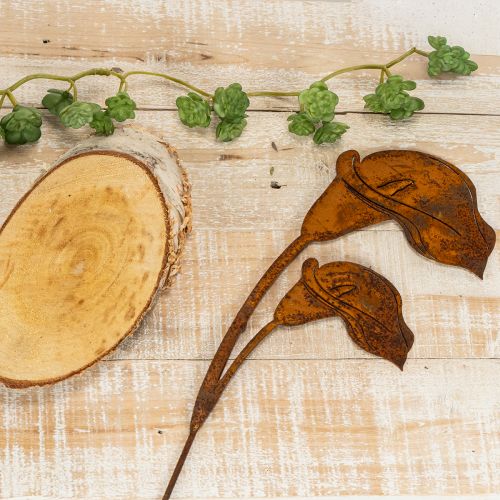 Paletto da giardino a forma di calla, ruggine, per lapidi e composizioni floreali, 25 cm, 6 pezzi | Floristik24.it