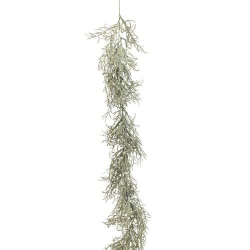 Floristik24 Calocephalus Ghirlanda Piante Artificiali Grigio Argento 122cm