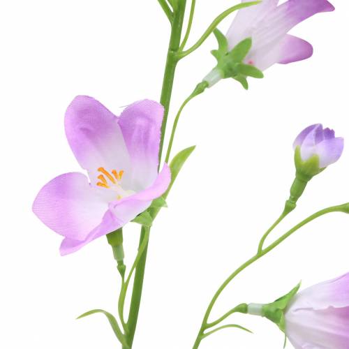 Floristik24 Campanula artificiale Campanula Viola 66cm