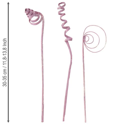 Prodotto Bobina di canna da zucchero Cono di canna da zucchero Assortimento di canne da zucchero Bacca 30 cm 75 pezzi