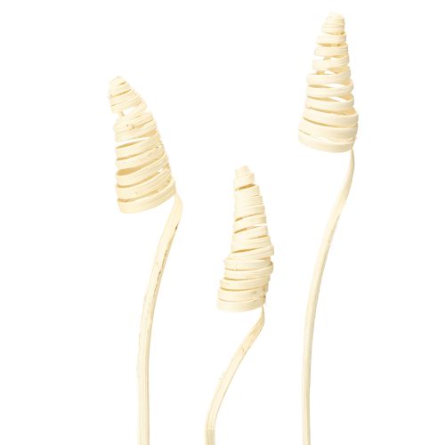 Prodotto Cono di canna sbiancato 25 pz