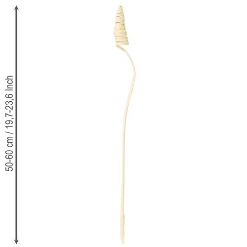 Prodotto Cono di canna sbiancato 25 pz