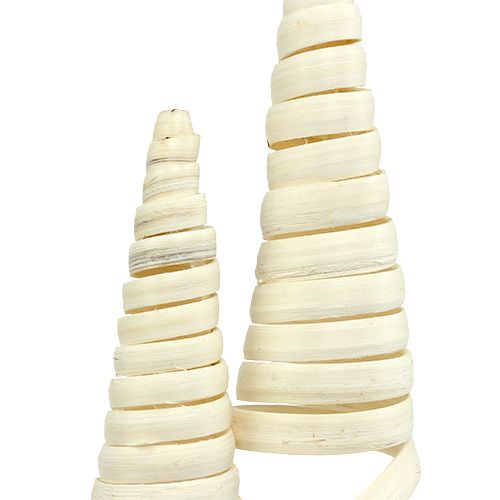 Floristik24 Cono di canna sbiancato 25 pz