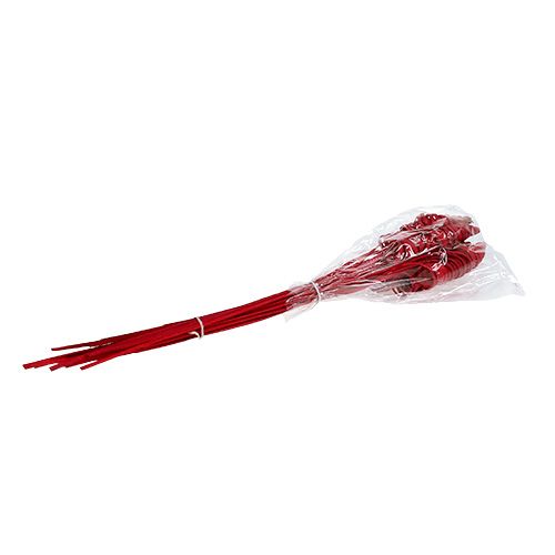 Prodotto Cono di canna rosso 25 pz