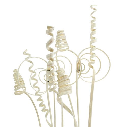 Prodotto Assortimento di canna mini sbiancata 75 pezzi