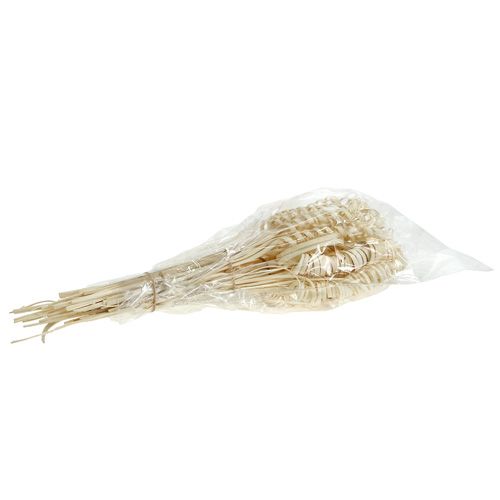 Prodotto Assortimento di canna mini sbiancata 75 pezzi