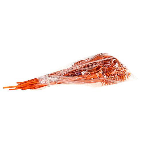 Prodotto Assortimento di canne mini arancio 75 pezzi