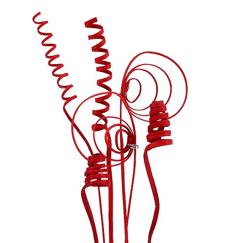 Floristik24 Assortimento di canne mini rosse 75 pz