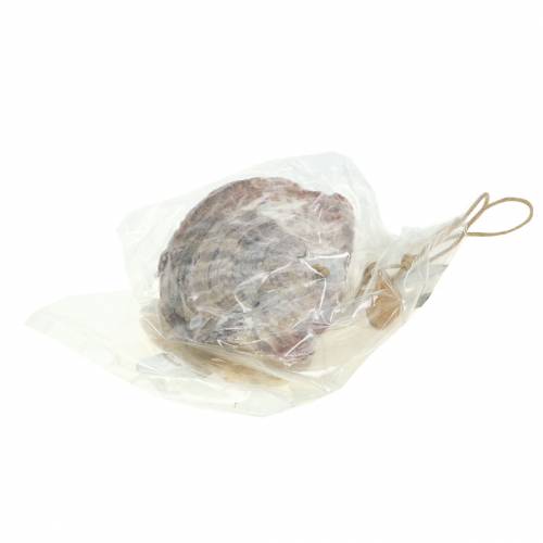 Prodotto Appendino decorativo Capiz shell natura marittima bianco 30 cm 2 pezzi