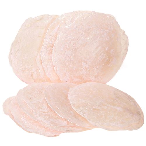 Floristik24 Capiz conchiglie dischi madreperla deco conchiglie rosa chiaro Ø8cm