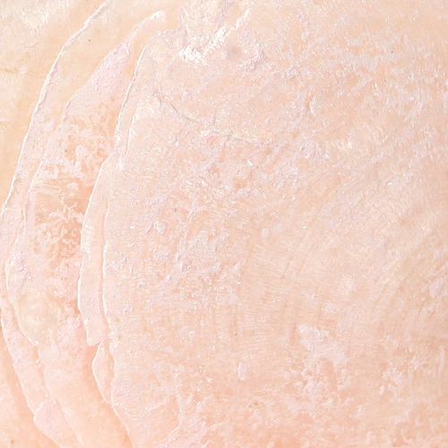Floristik24 Capiz conchiglie dischi madreperla deco conchiglie rosa chiaro Ø8cm