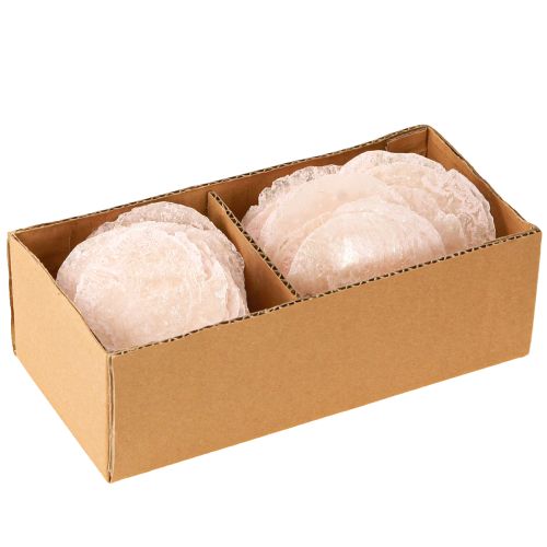 Floristik24 Capiz conchiglie dischi madreperla deco conchiglie rosa chiaro Ø8cm