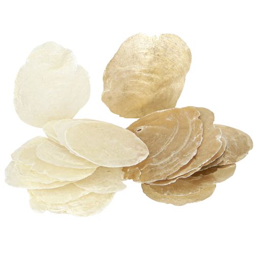 Prodotto Dischi Capiz in conchiglie di oro naturale 60 pz