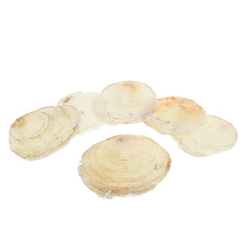 Cozze Capiz 500g