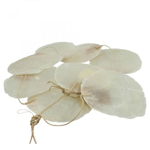 Floristik24 Capiz ghirlanda di conchiglie madreperla, decoro marittimo 100cm