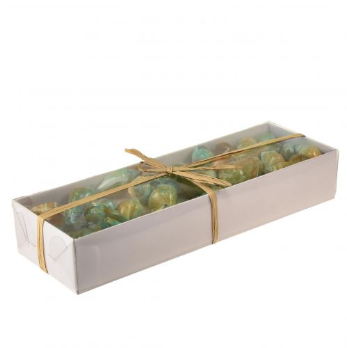 Floristik24 Capiz conchiglia di madreperla fette di madreperla conchiglia di lumaca di mare verde 3,5–9,5 cm 750 g