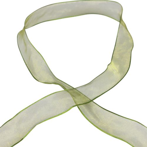Floristik24 Nastro in chiffon nastro di organza nastro decorativo organza verde 25mm 20m