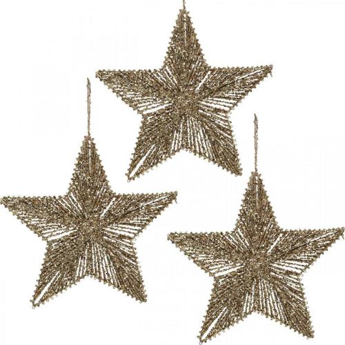 Floristik24 Addobbi per l&#39;albero di Natale, addobbi dell&#39;Avvento, ciondolo stella Dorato B20.5cm 6pz