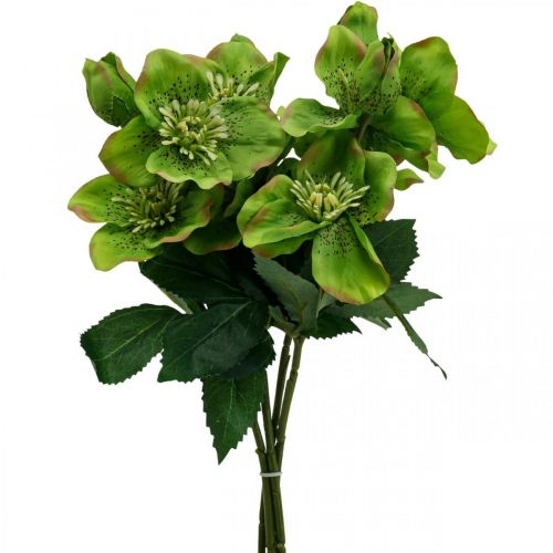 Floristik24 Rosa di Natale Rosa quaresimale Elleboro fiori artificiali verdi L34 cm 4 pz