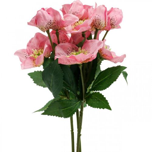 Floristik24 Rosa di Natale, rosa quaresimale, elleboro, piante artificiali rosa L34cm 4 pezzi