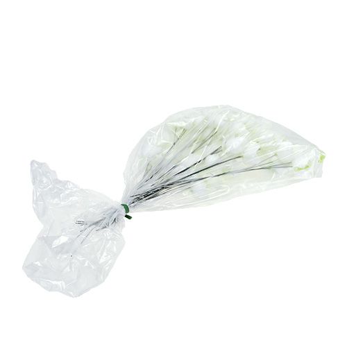 Prodotto Rosa di Natale su filo bianco 50 pz