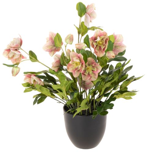 Pianta artificiale di elleboro in vaso, rosa di Natale, per decorazione domestica, 50 cm