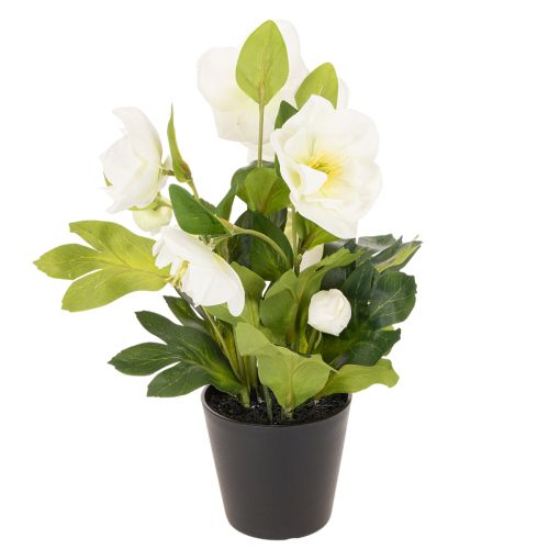 Rosa natalizia artificiale, pianta in vaso, decorazione da tavolo, 34 cm | Floristik24.it