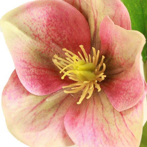 Prodotto Elegante bouquet di rose di Natale rosa – 35 cm 6 pz.