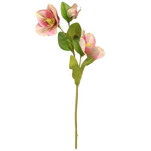 Prodotto Elegante bouquet di rose di Natale rosa – 35 cm 6 pz.